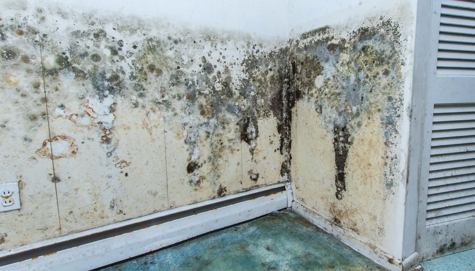 Professional mold removal, odor control, and water damage restoration service in Dallas, Texas.