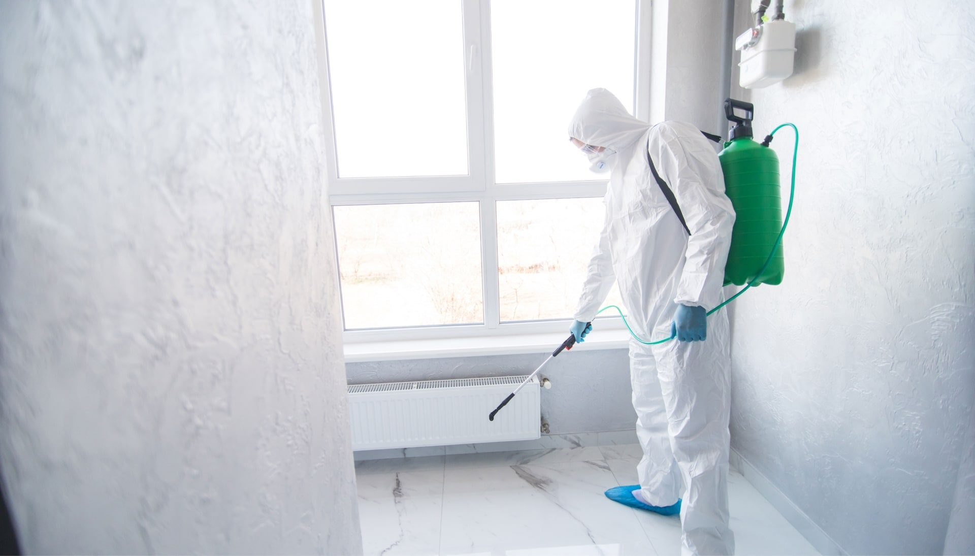 We provide the highest-quality mold inspection, testing, and removal services in the Dallas, Texas area.